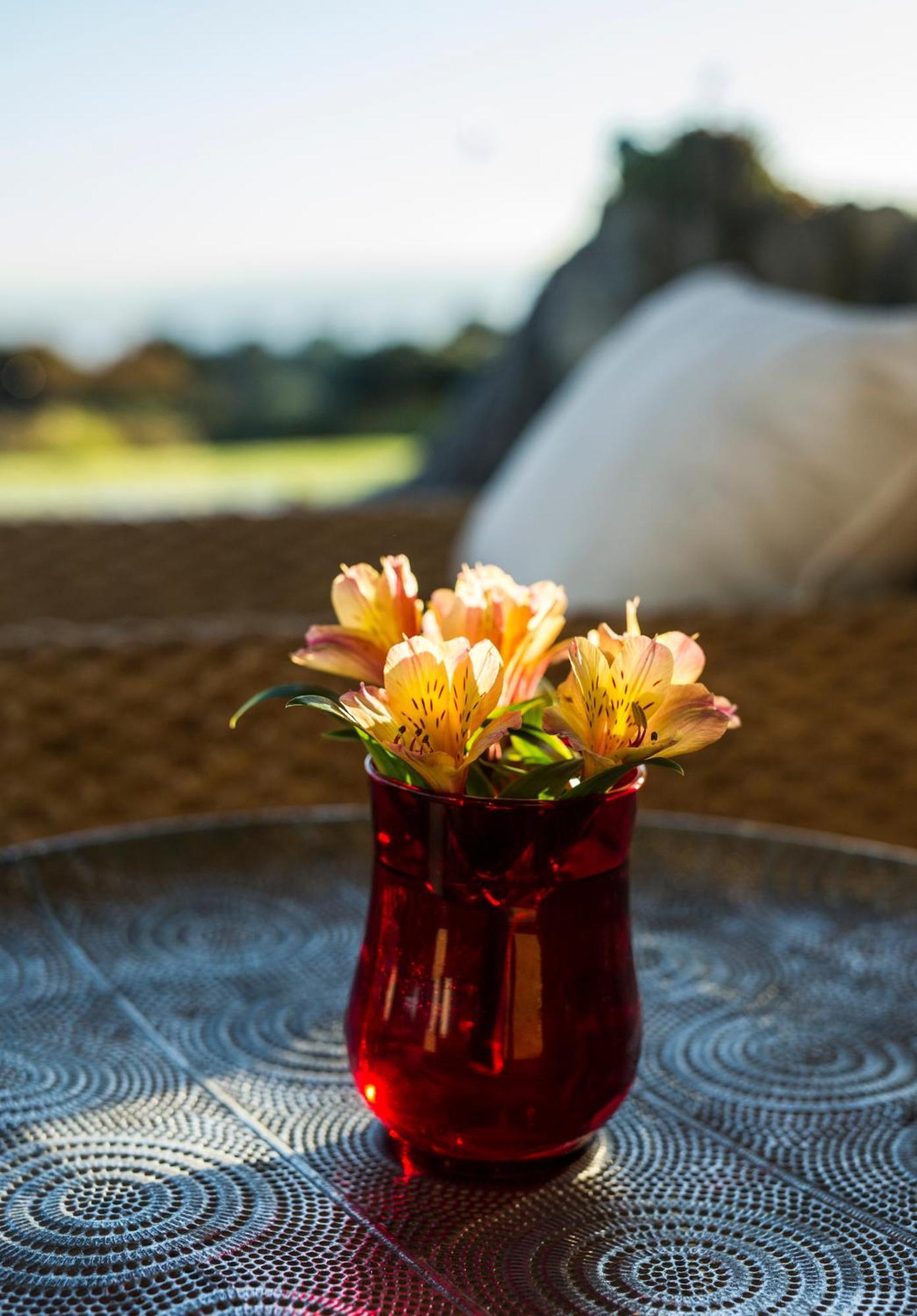 Matapouri & Tutukaka Spectacular Coastal Views- Aroha Luxury Guest Suite Zewnętrze zdjęcie
